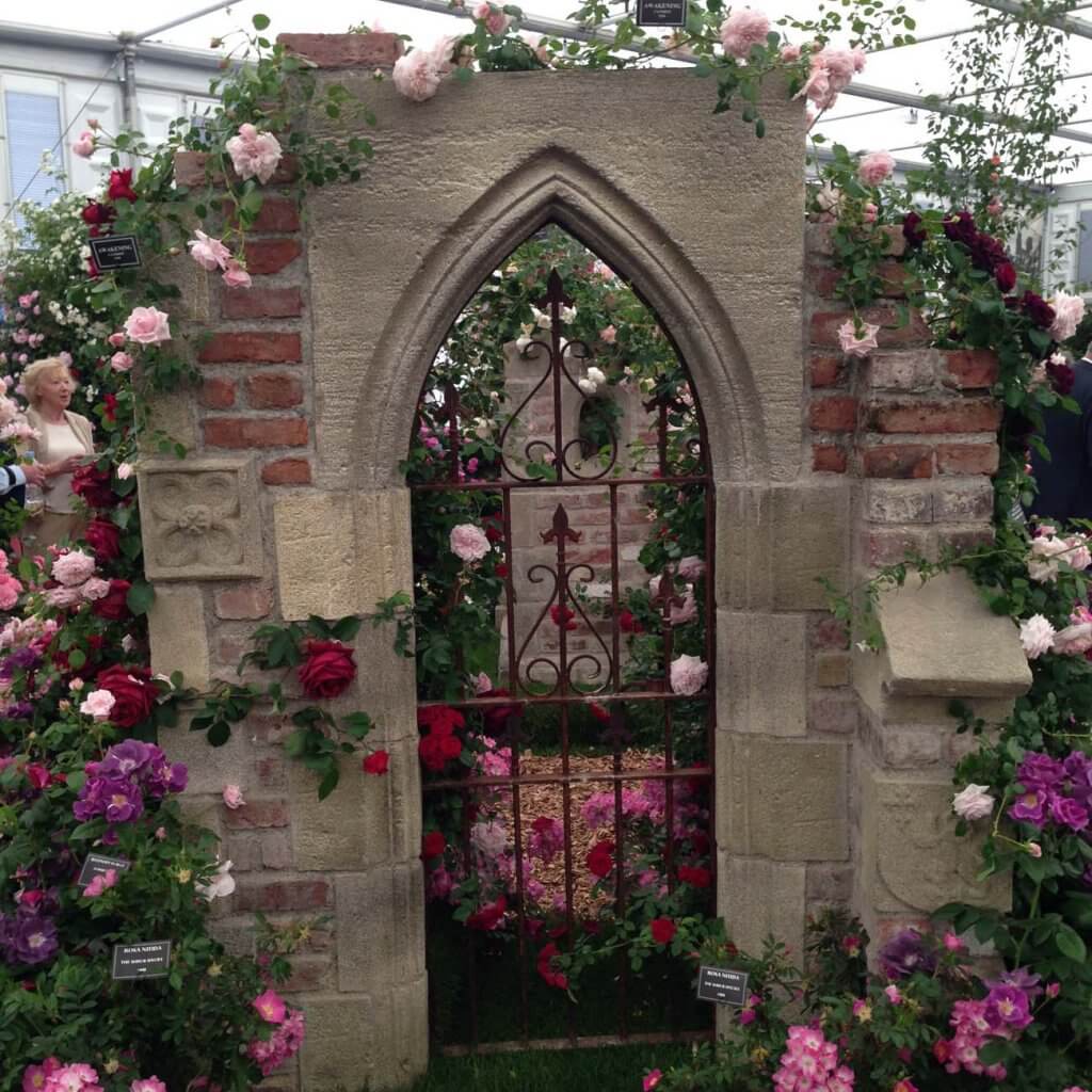 Peter Beales Roses Chelsea Flower Show