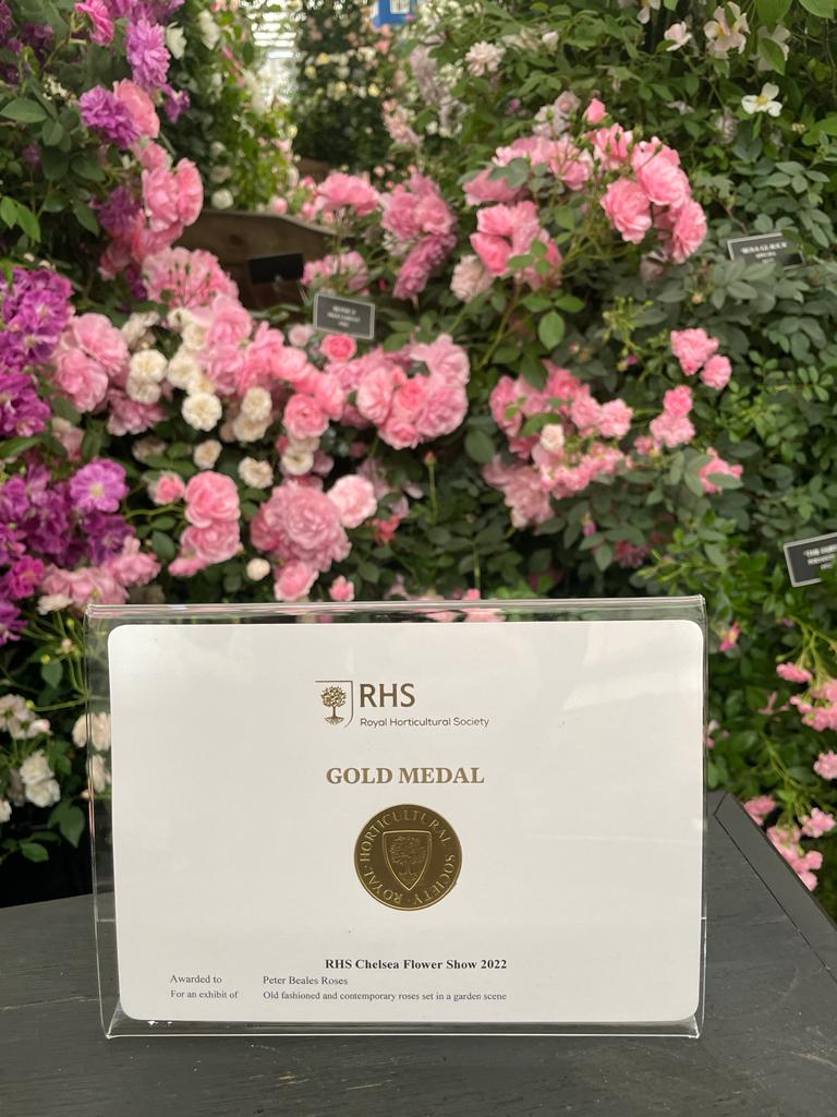 Chelsea Flower Show Gold Medal