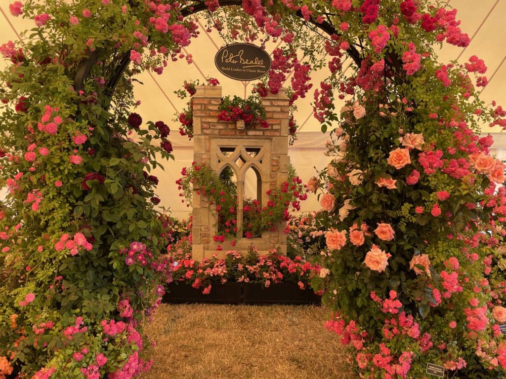 Hampton Court Flower Show 2022
