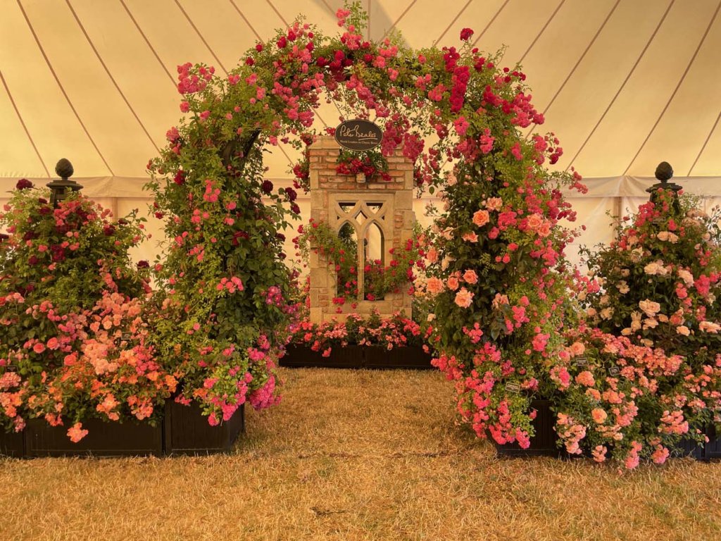 Hampton Court Flower Show 2022