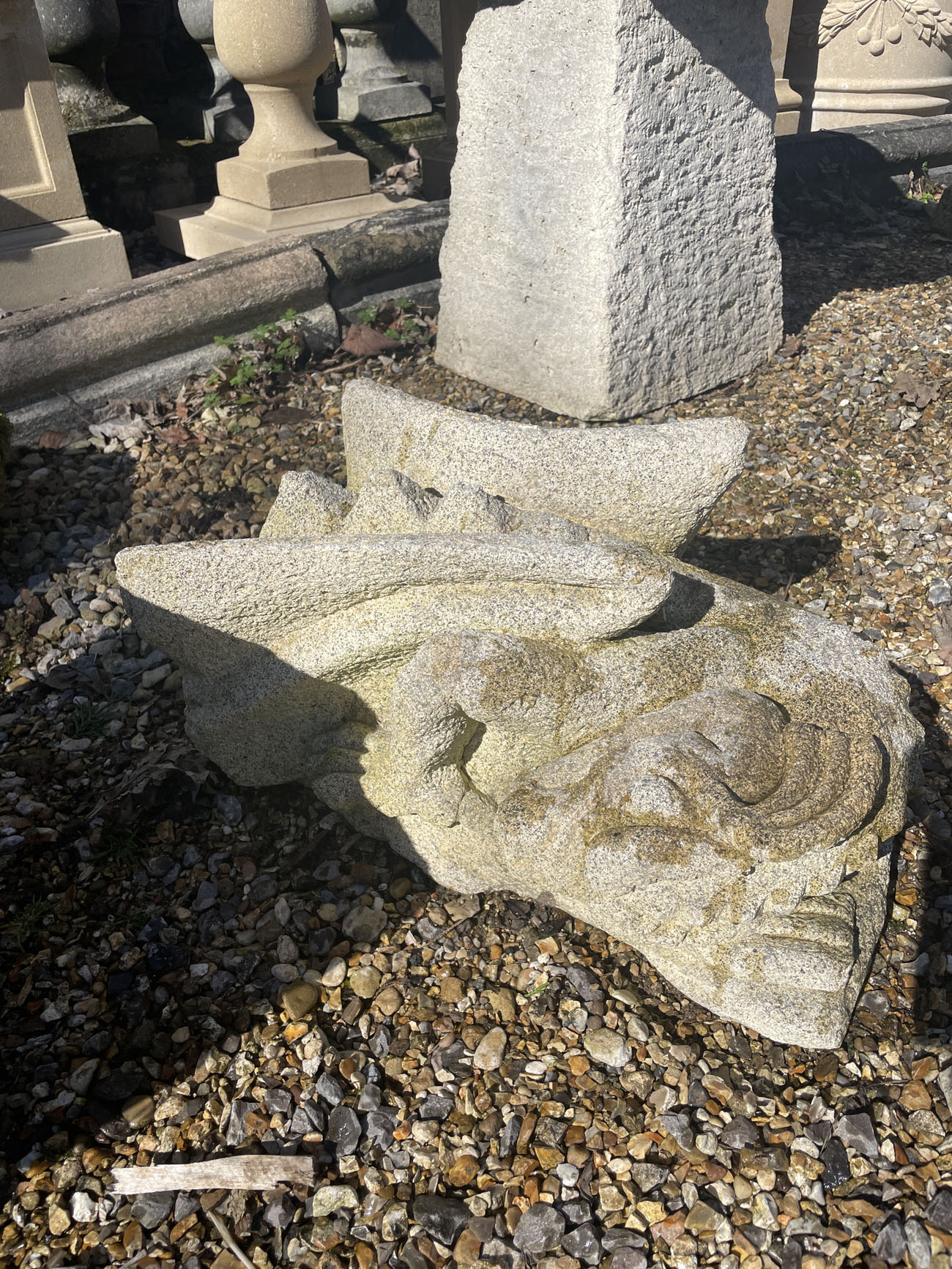 Slain Dragon